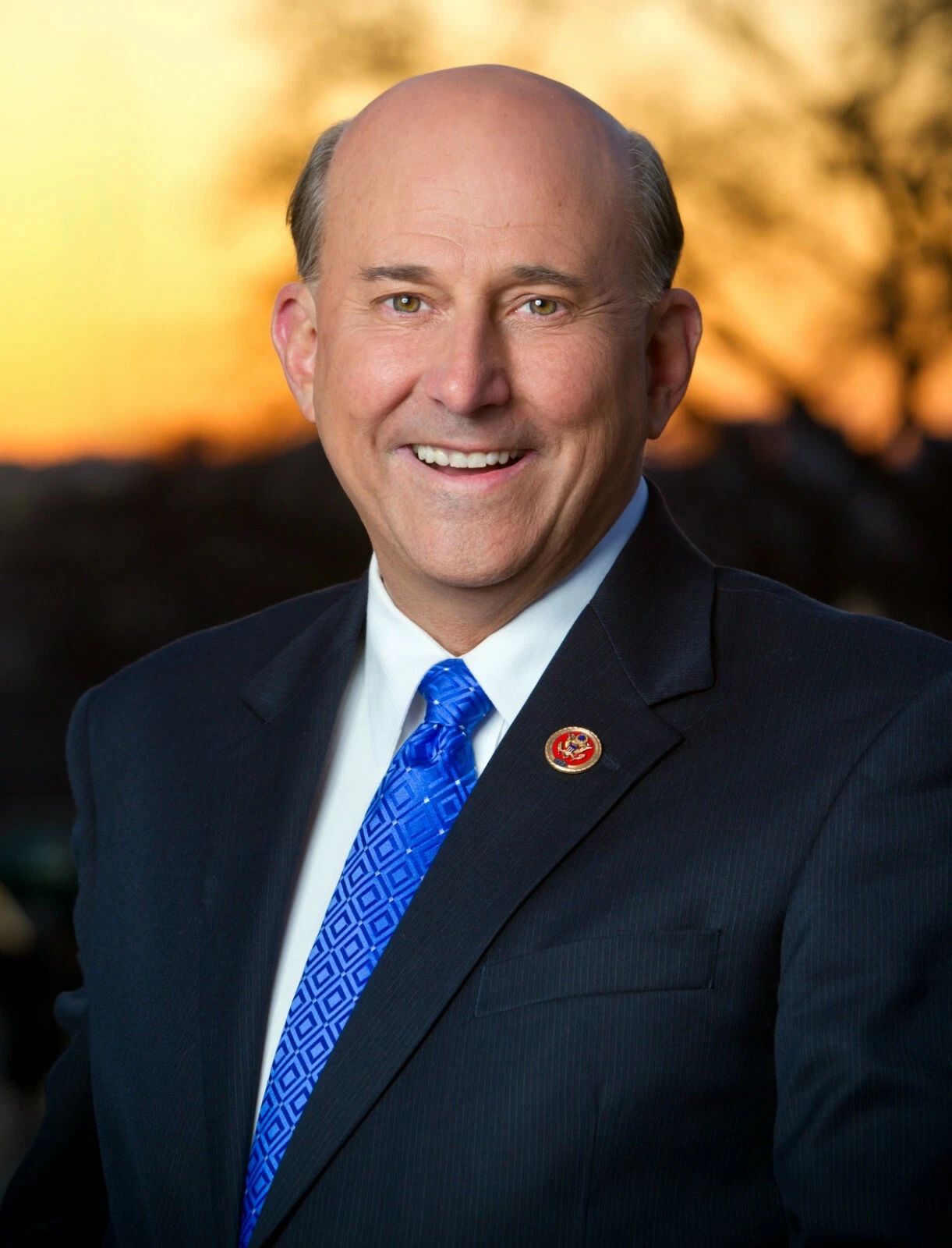 Us Congress House Representative Louie Gohmert Texas Picture Magnet Magnet