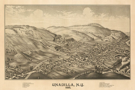 Unadilla New York 1887 Historic Panoramic Town Map Jigsaw Puzzle
