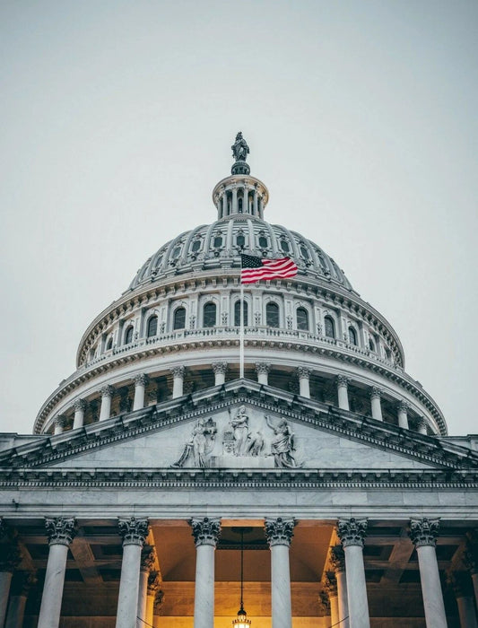 United States Capital Building W American Flag Magnet Picture Magnet Patriotic