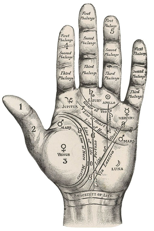 Unusual Vintage Style Palmistry Chart Painting Print Jigsaw Puzzle
