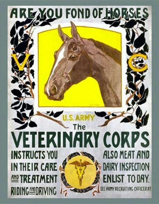 Veterinary Corps Magnet Wwi Usa Us Army Military Horse