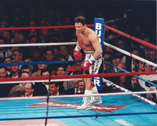 Vinny Pazienza Magnet Boxing Picture In Corner