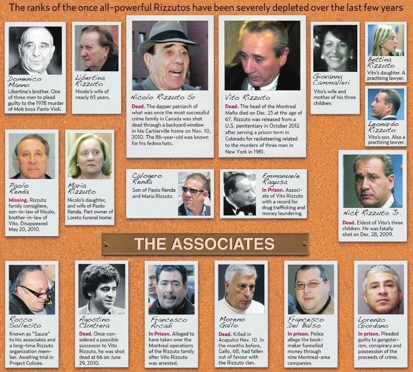 Vito Rizzuto Magnet Mafia Organized Crime Family Chart Mobster Mob Picture