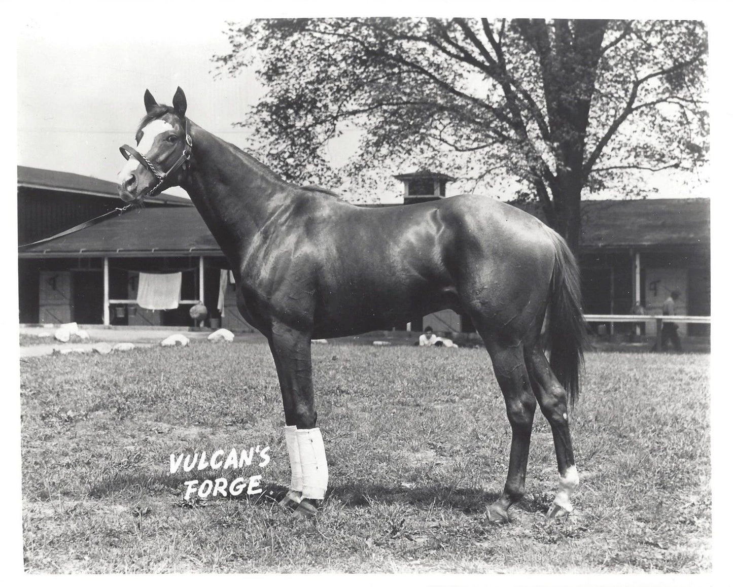 Vulcan'S Forge Magnet Horse Racing Picture Jockey