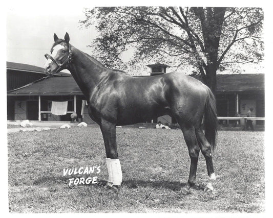 Vulcan'S Forge Photo Horse Racing Picture Jockey