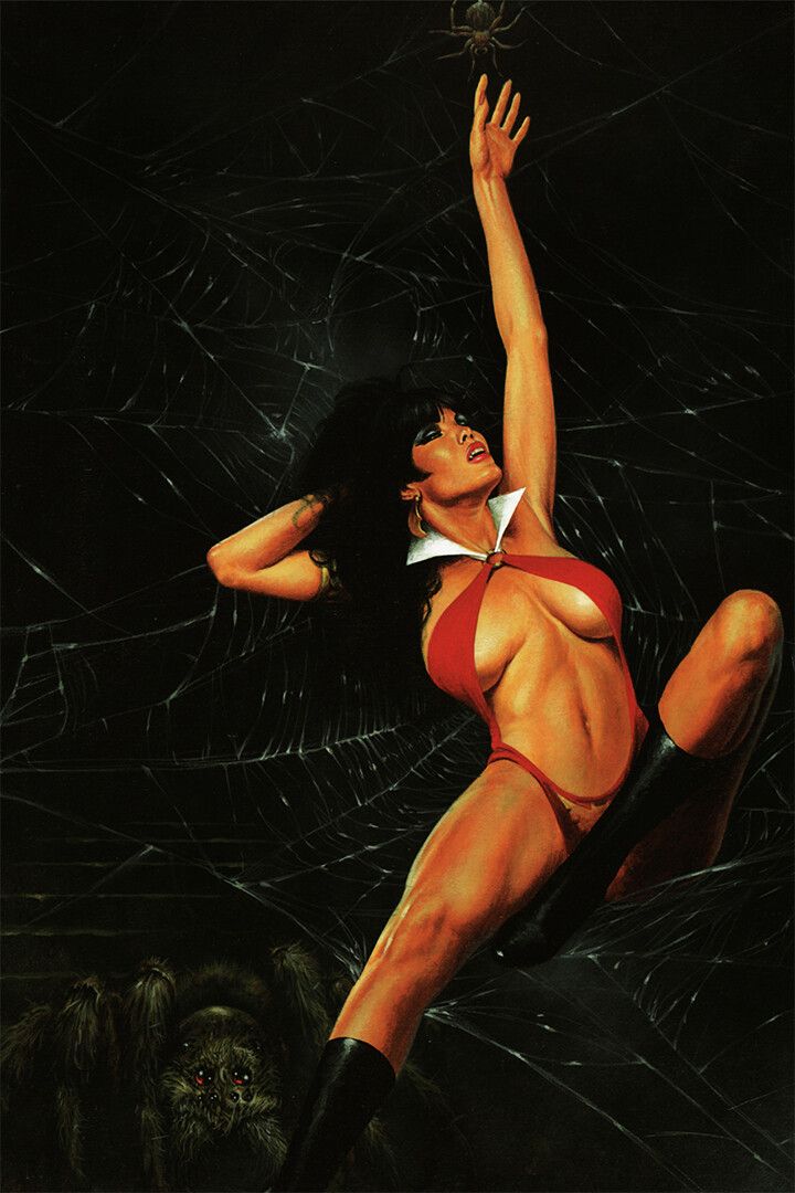 Vampirella Superheroine In Sexy Costume Art Home Decor Keychain