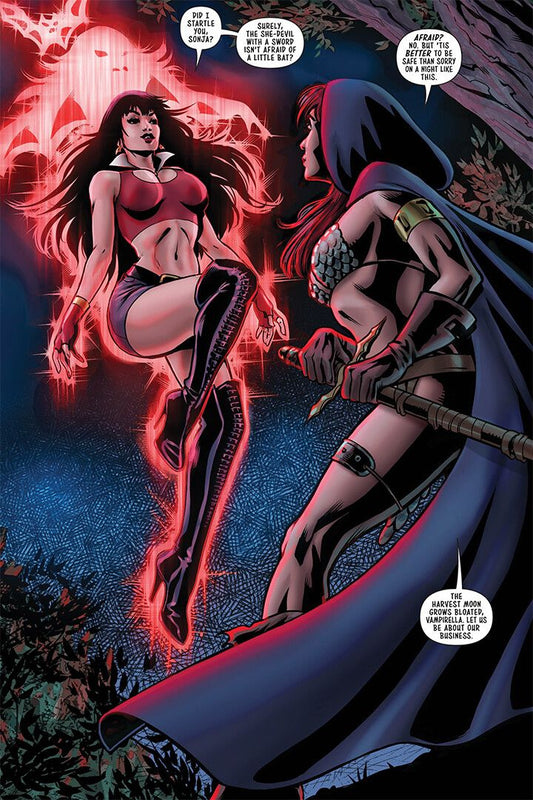 Vampirella And Red Sonja Cover Decor Wall Art Jigsaw Puzzle