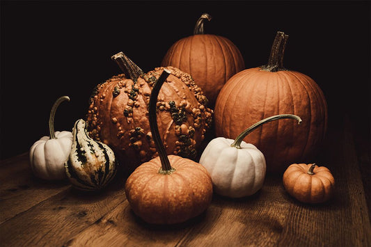 Variety Of Pumpkins Art Wall Decor Jigsaw Puzzle