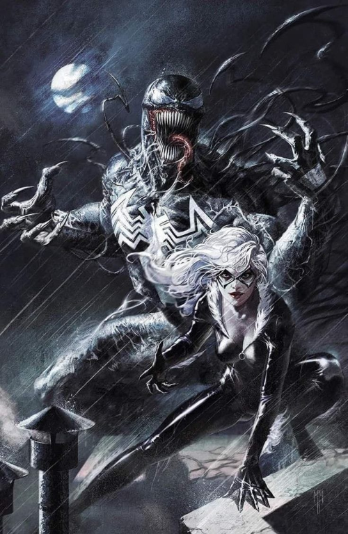 Venom Black Cat 3486 Print Poster