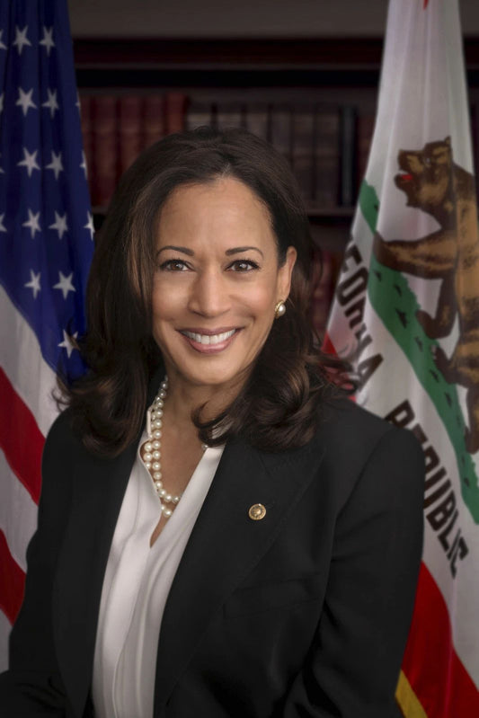 Vice President Kamala Harris Magnet Picture Us Democrat Senator Portrait