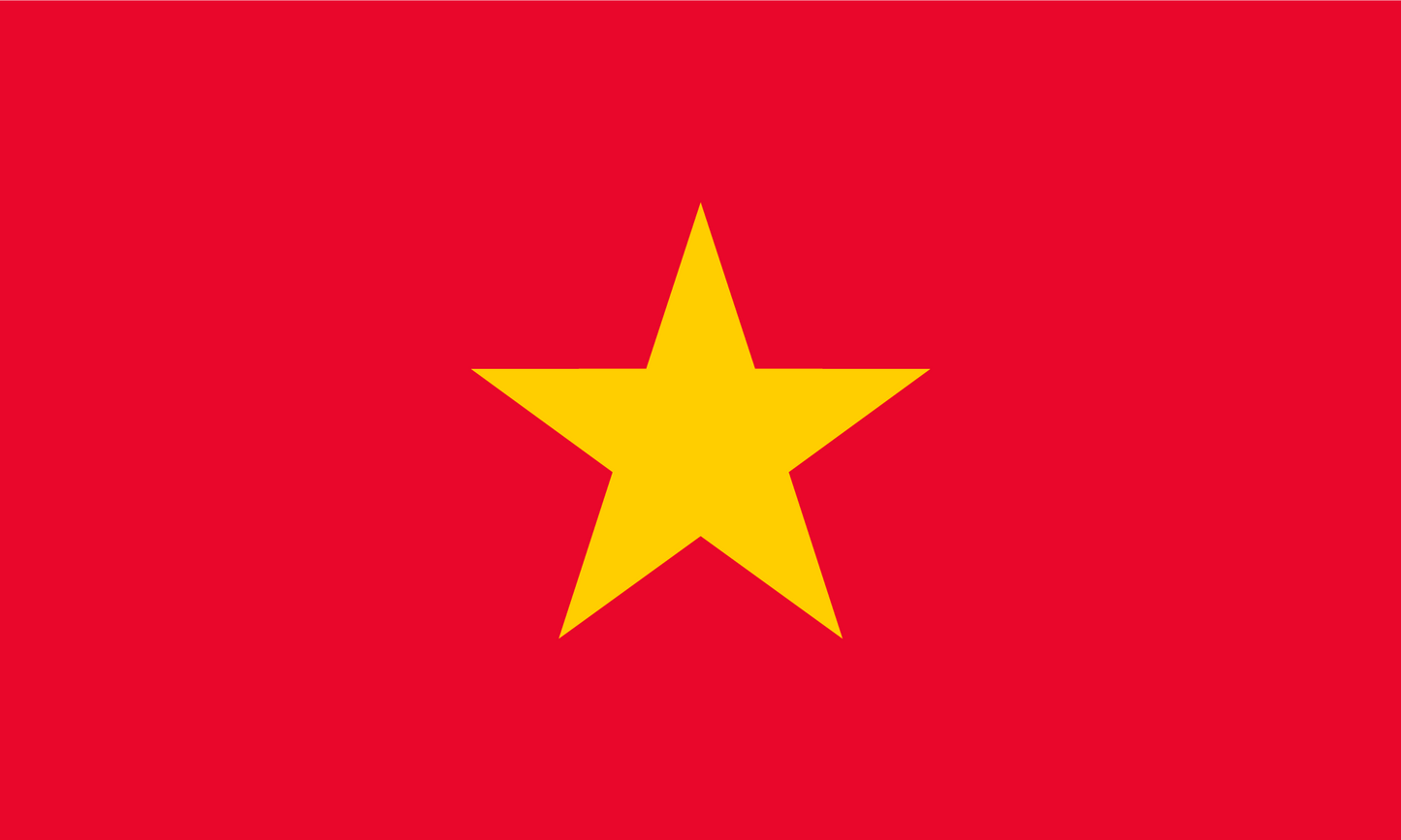 Vietnam Flag Keychain
