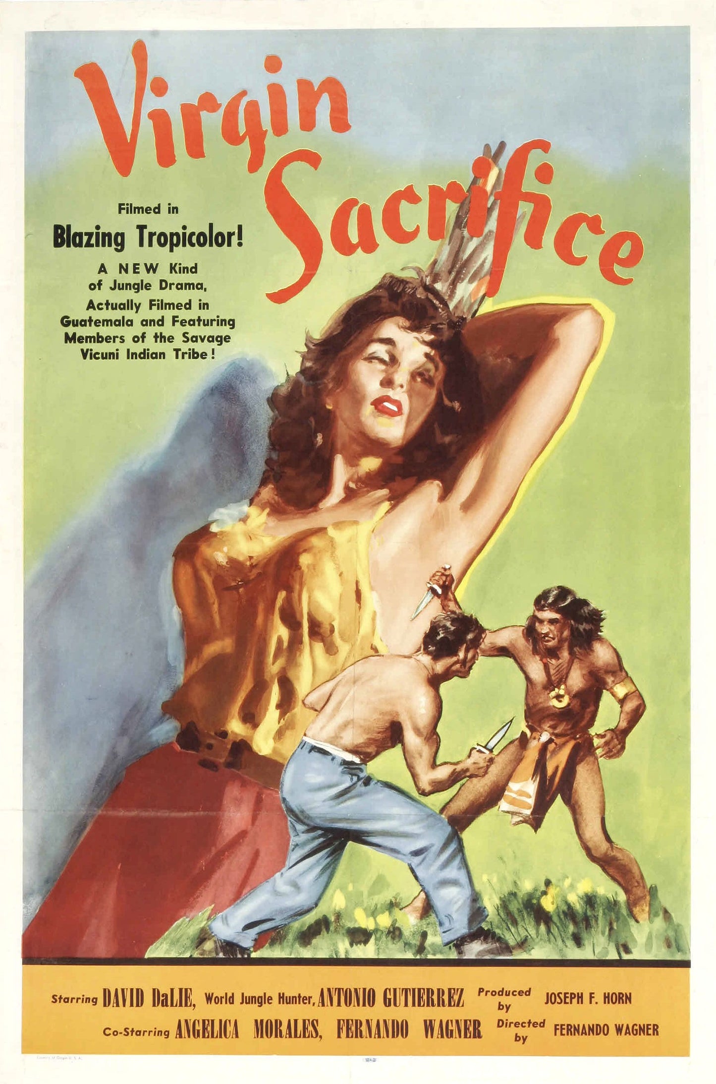 Virgin Sacrifice 01 0 Movie Magnet