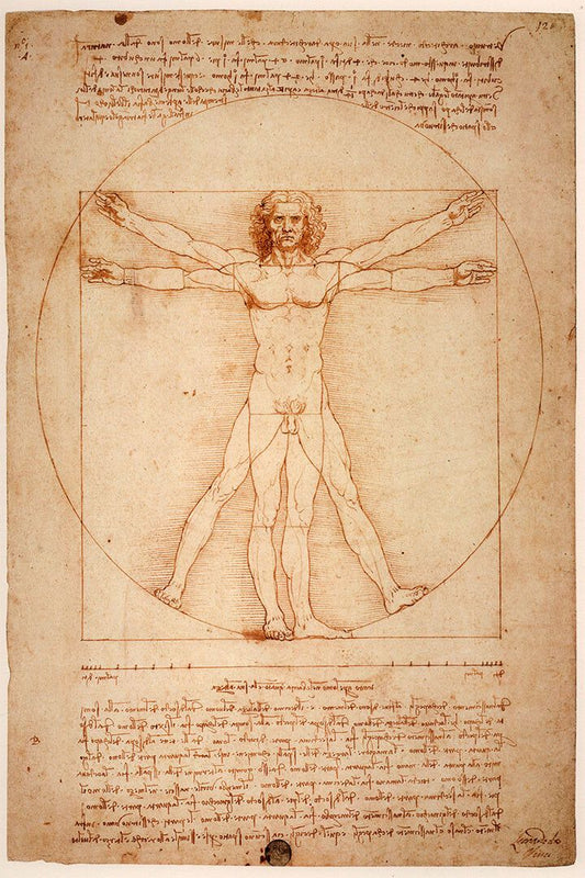 Vitruvian Man Leonardo Da Vinci Drawing Historic Jigsaw Puzzle