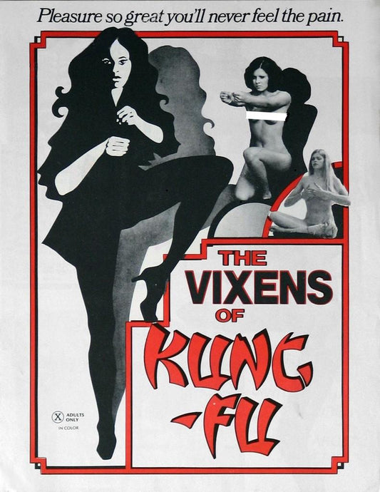 Vixens Of Kung Fu 01 Movie Magnet
