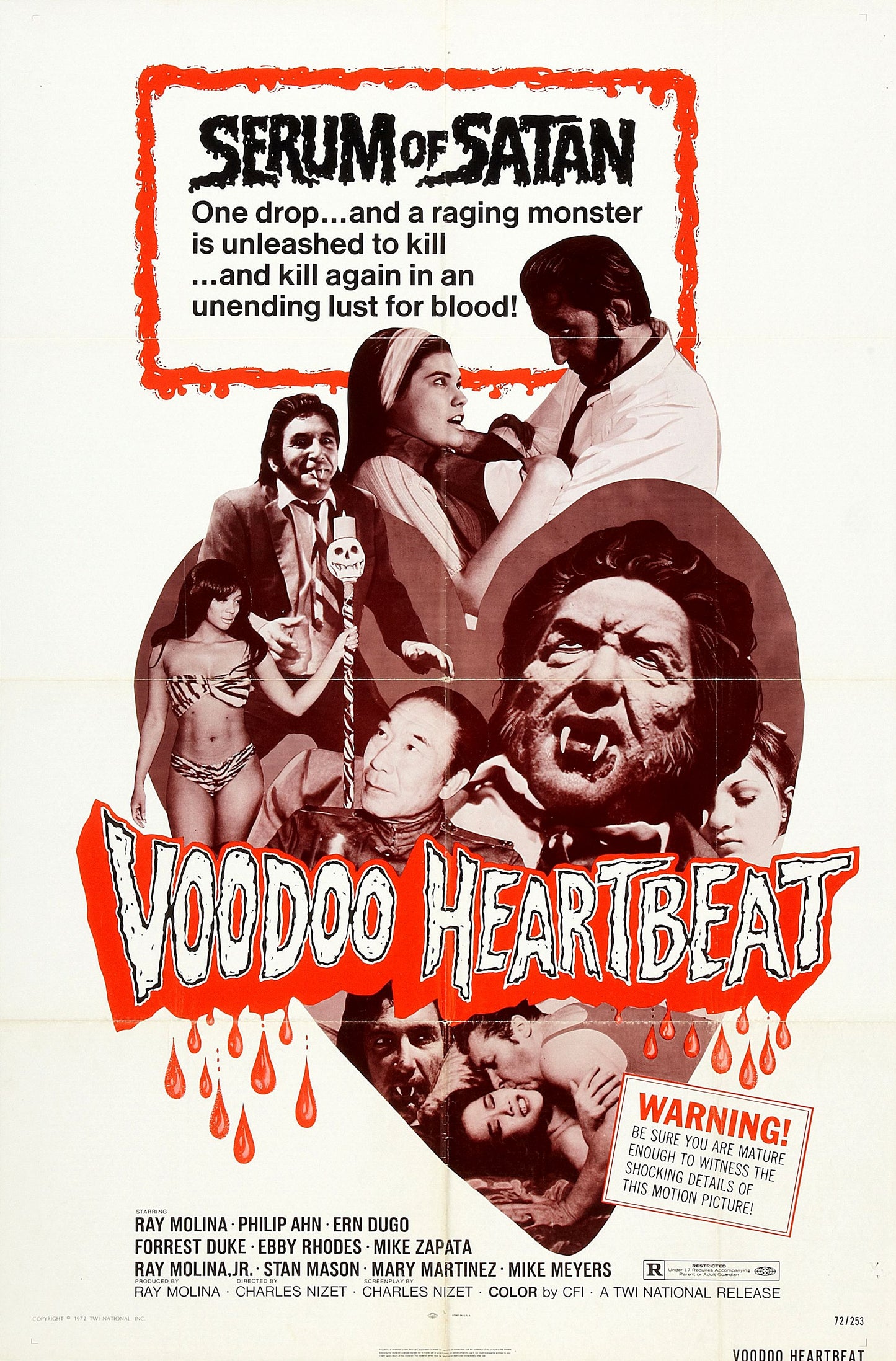 Voodoo Heartbeat 01 Movie Magnet