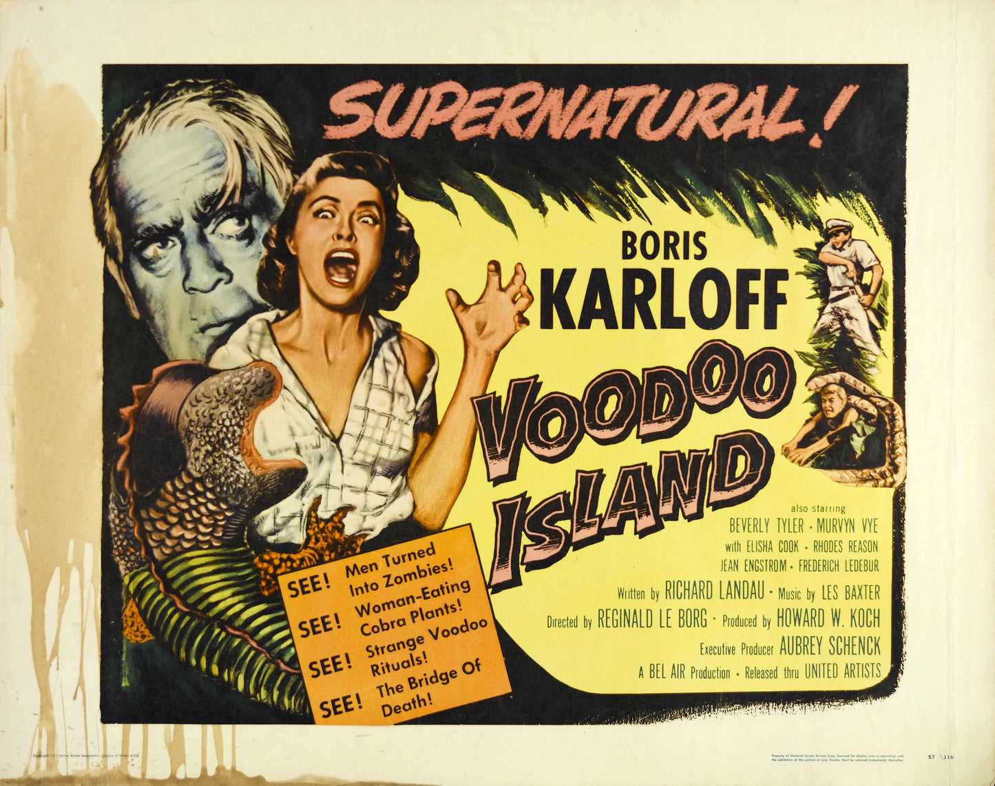 Voodoo Island 02 Movie Magnet
