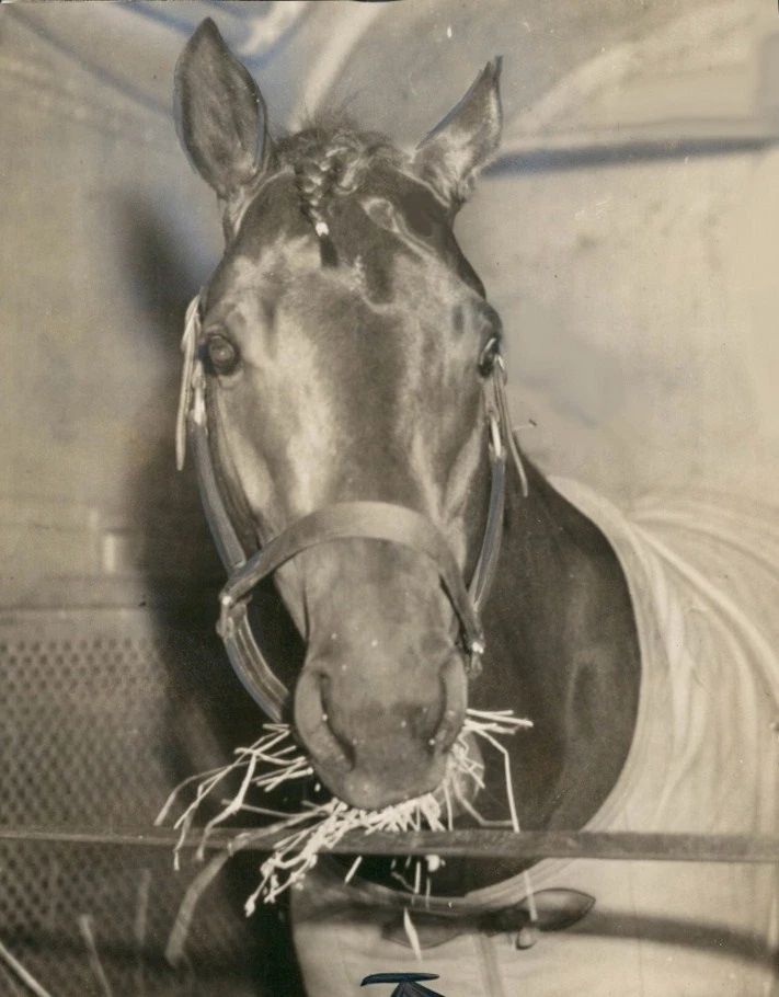 War Admiral Photo Horse Racing Picture Jockey Close Up