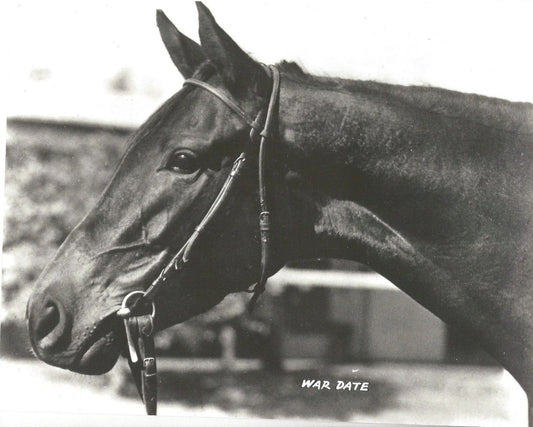 War Date Magnet Horse Racing Picture Jockey