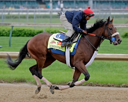 Wicked Strong Magnet Horse Racing Picture Work Out