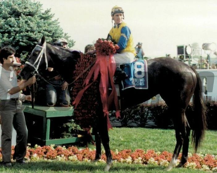 Winning Colors Photo Horse Racing Picture