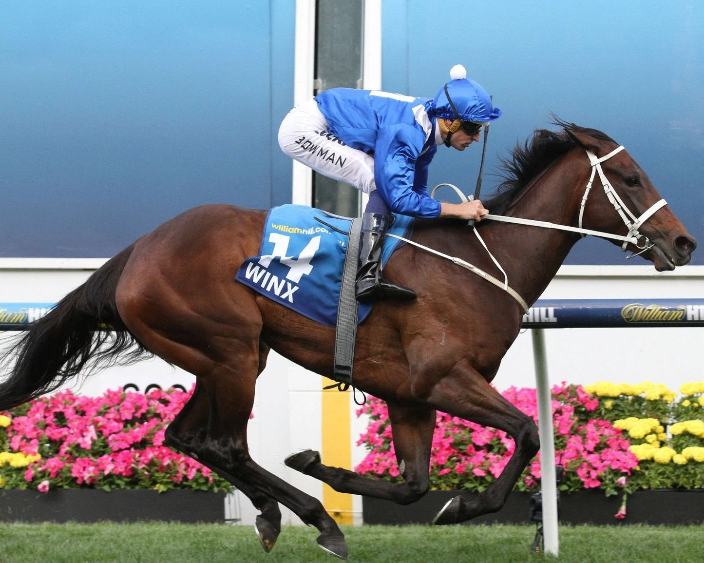 Winx Photo Horse Racing Picture Jockey