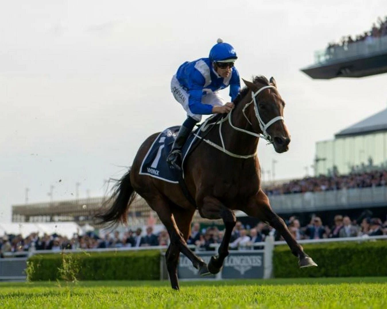 Winx Photo Horse Racing Picture Jockey Race Action