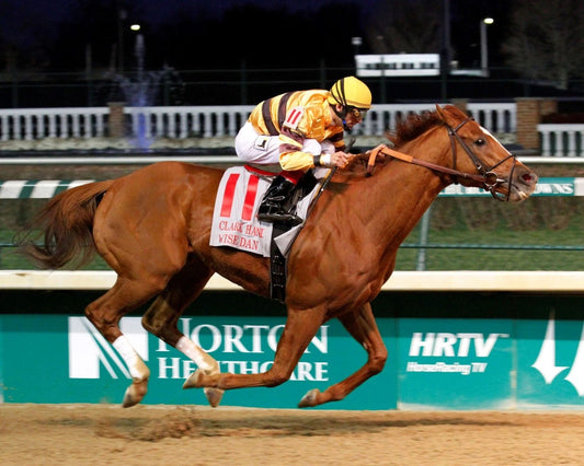 Wise Dan Photo Horse Racing Picture Jockey