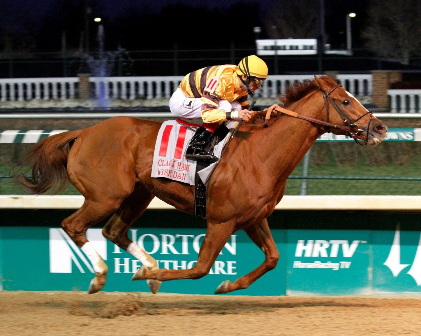Wise Dan Magnet Horse Racing Picture Jockey