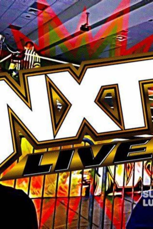 WWE Nxt Live From San Jose 2015 Keychain