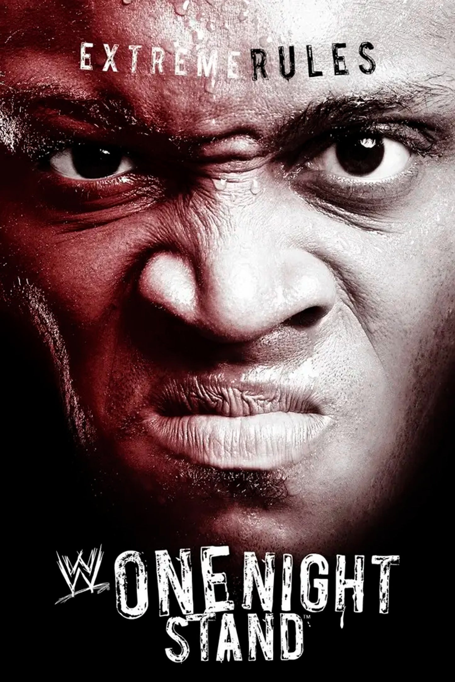 WWE One Night Stand 2007 Poster Print