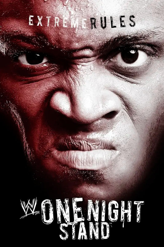 WWE One Night Stand 2007 Jigsaw Puzzle