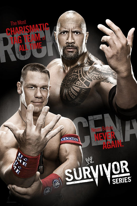 WWE Survivor Series 2011 Magnet