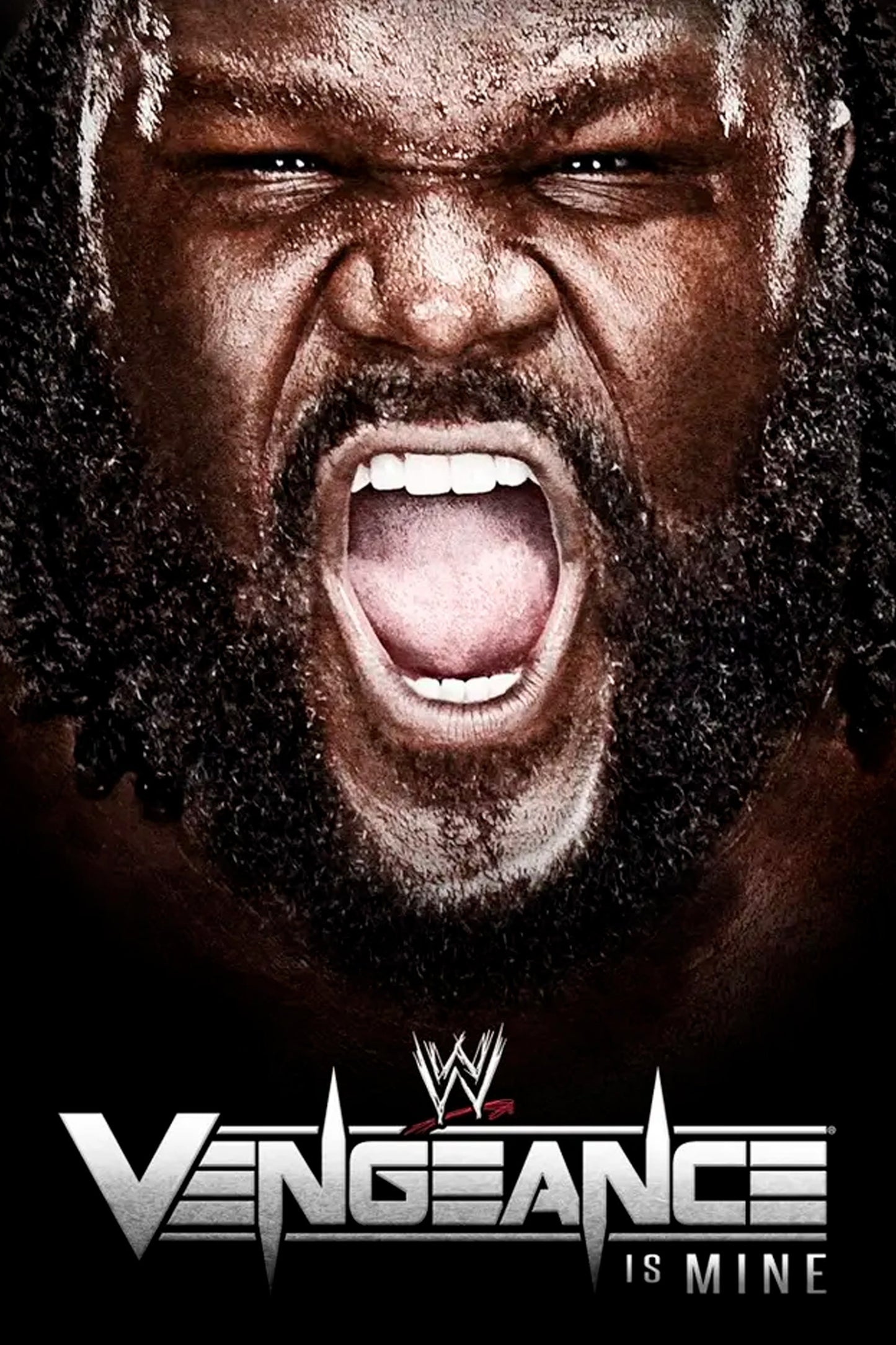 WWE Vengeance 2011 Jigsaw Puzzle