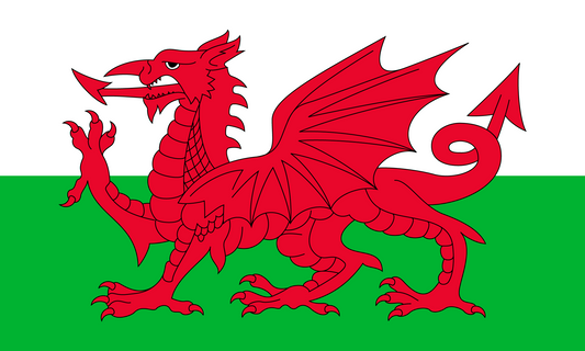Wales Flag Magnet