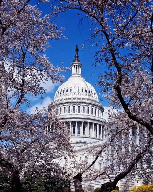 Washington D.C 1. Us Capitol Glossy Magnet Print American Magnet
