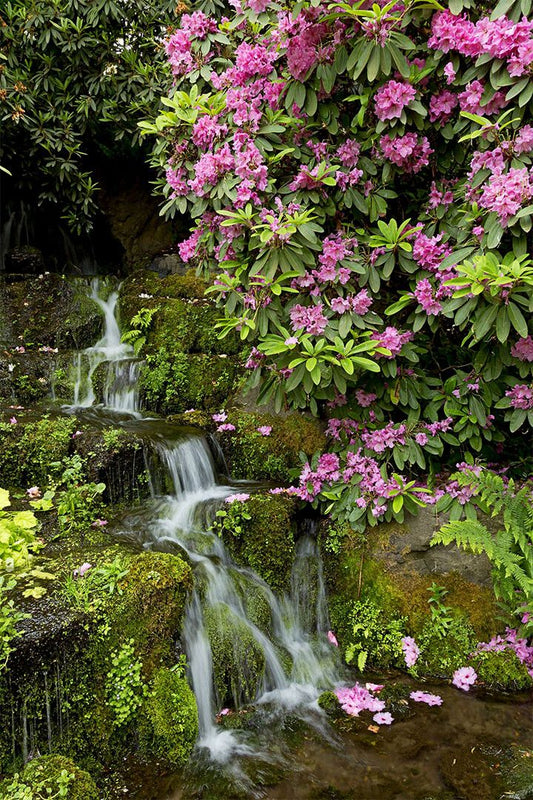 Waterfall In Crystal Springs Garden Print Jigsaw Puzzle
