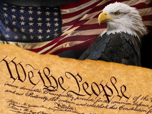 We The People Unites States Constitution American Flag Eagle Photo Poster