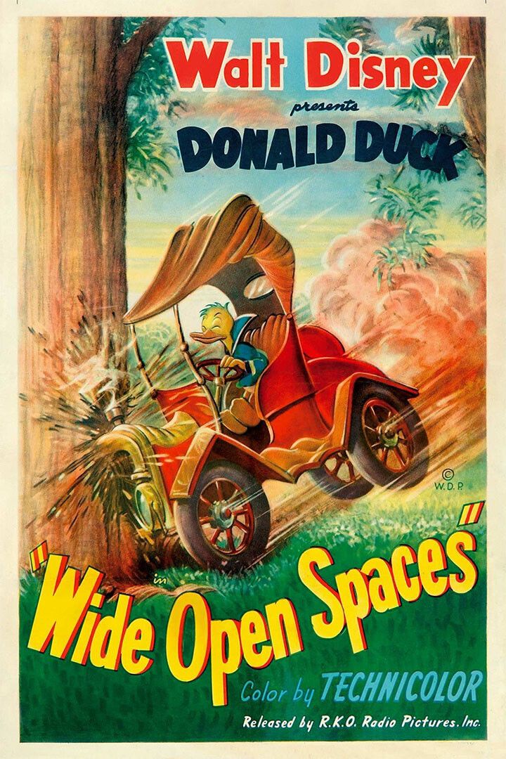 Wide Open Spaces Donald Duck 1947 Animation Comedy Family Jigsaw Puzzle