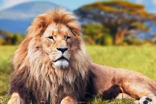 Wild Lion Dangerous Animals Nature Painting Print Jigsaw Puzzle 1