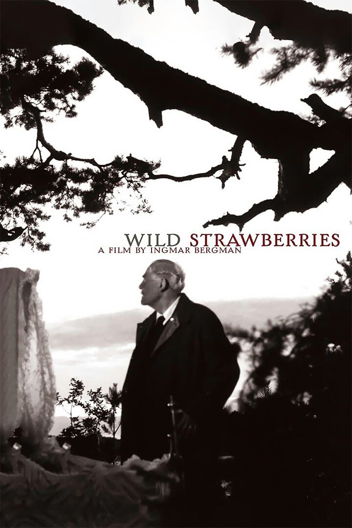 Wild Strawberries Movie Drama Romantic Print Jigsaw Puzzle