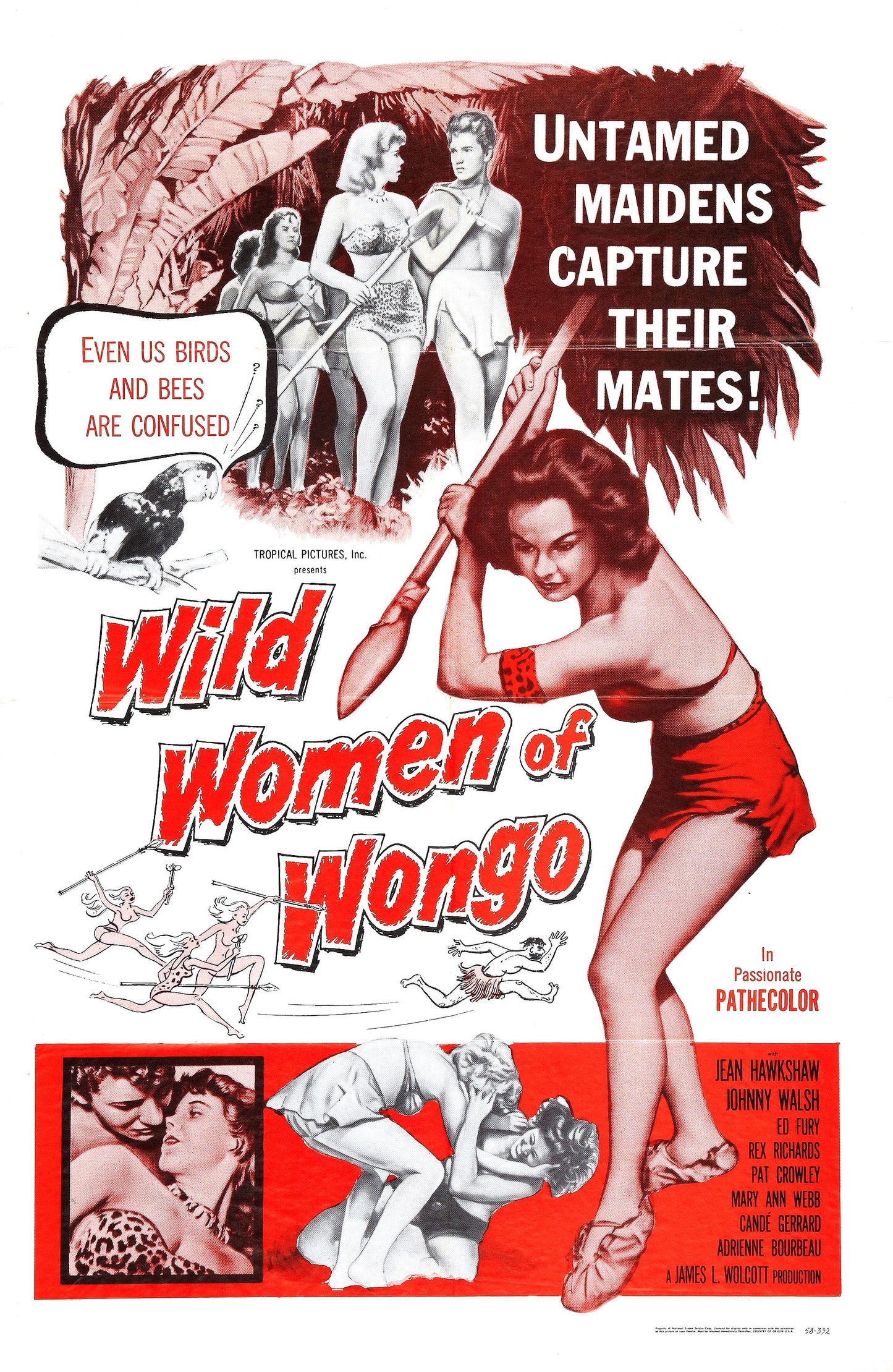 Wild Women Of Wongo 01 Movie Magnet