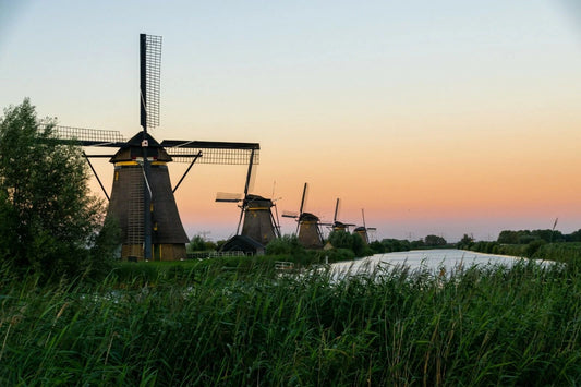 Windmills On River Kinderdijk South Holland The Netherlands Poster Picture Photo