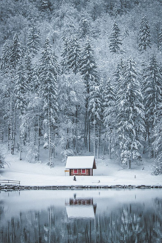 Winter Landscape Lake House In Forest Art Wall Decor Poster