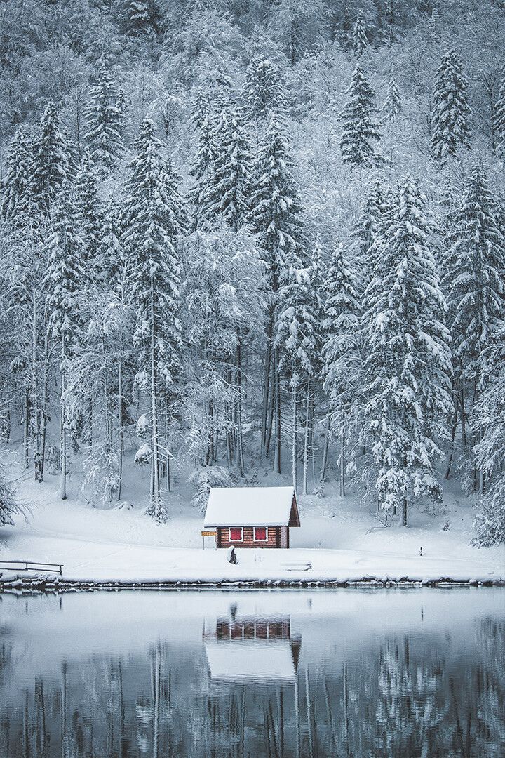 Winter Landscape Lake House In Forest Art Wall Decor Jigsaw Puzzle