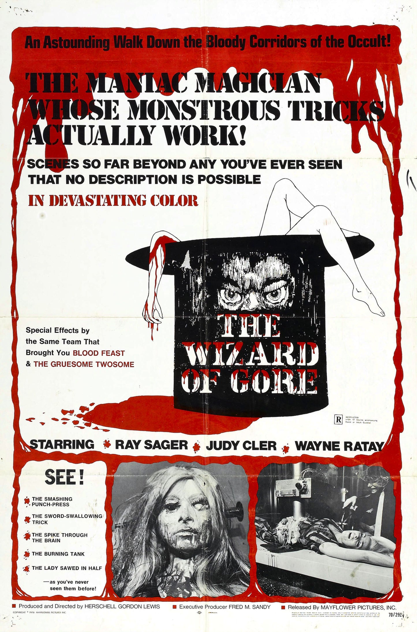 Wizard Of Gore 01 Movie Magnet