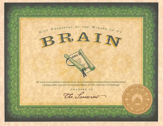 Wizard Of Oz Emerald City Certification Of Brains The Scarecrow Propreplica