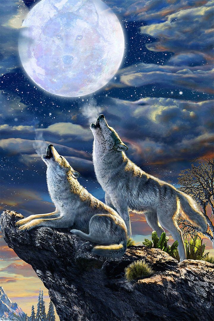 Wolf Howling At Moon Water Mountain Picture Room Wall Decor Poster