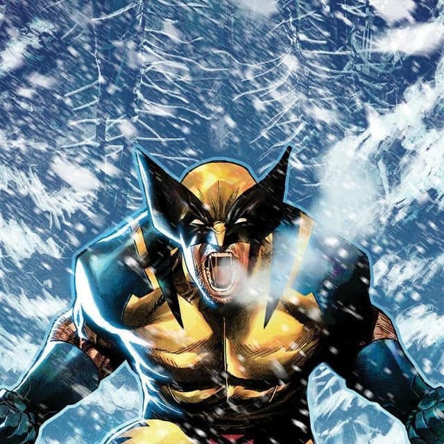 Wolverine Snowstorm Action Print Poster