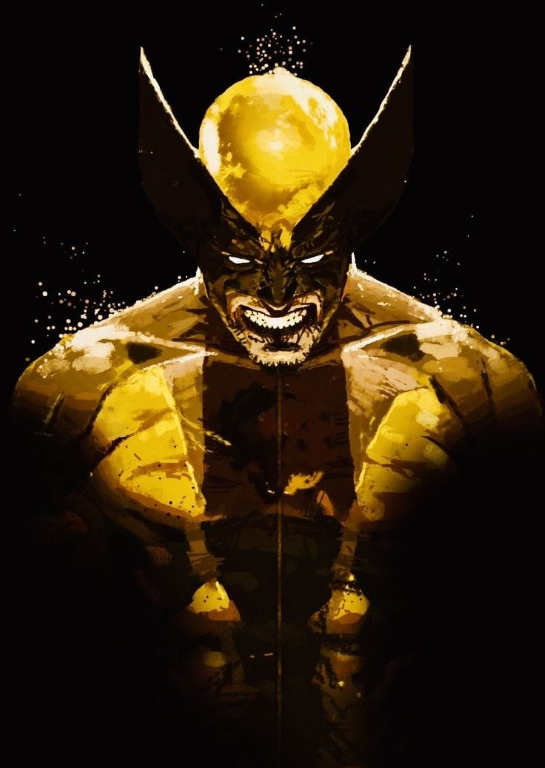 Wolverine 5731 Jigsaw Puzzle