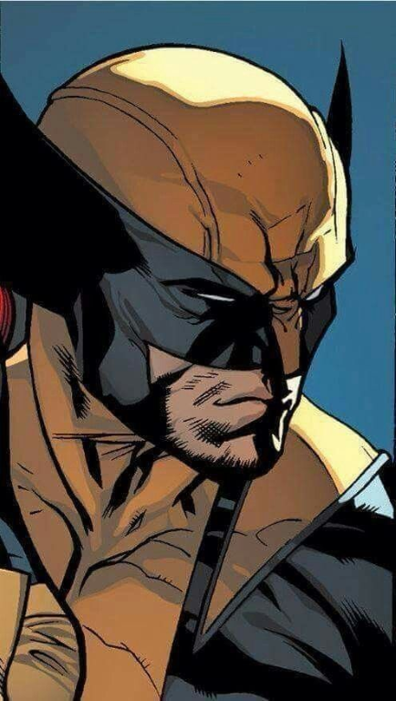 Wolverine 764 Print Poster